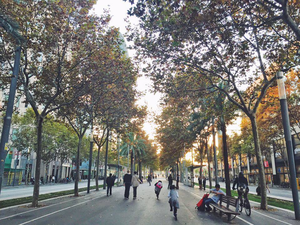 12242104_10156230565975008_2040279875_n