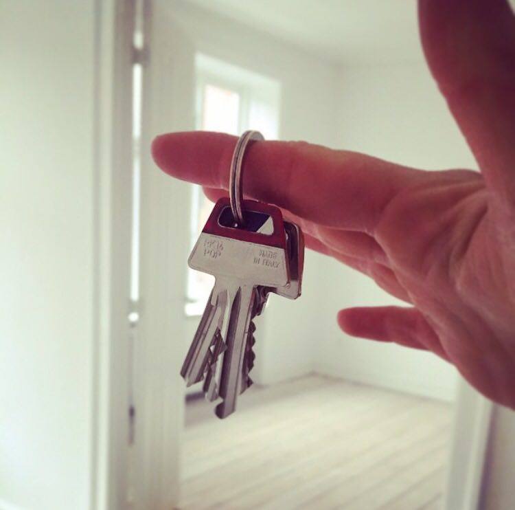 12434553_10156391891790008_1088476517_n