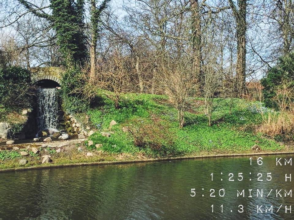 12674532_10156749567900008_1993881718_n