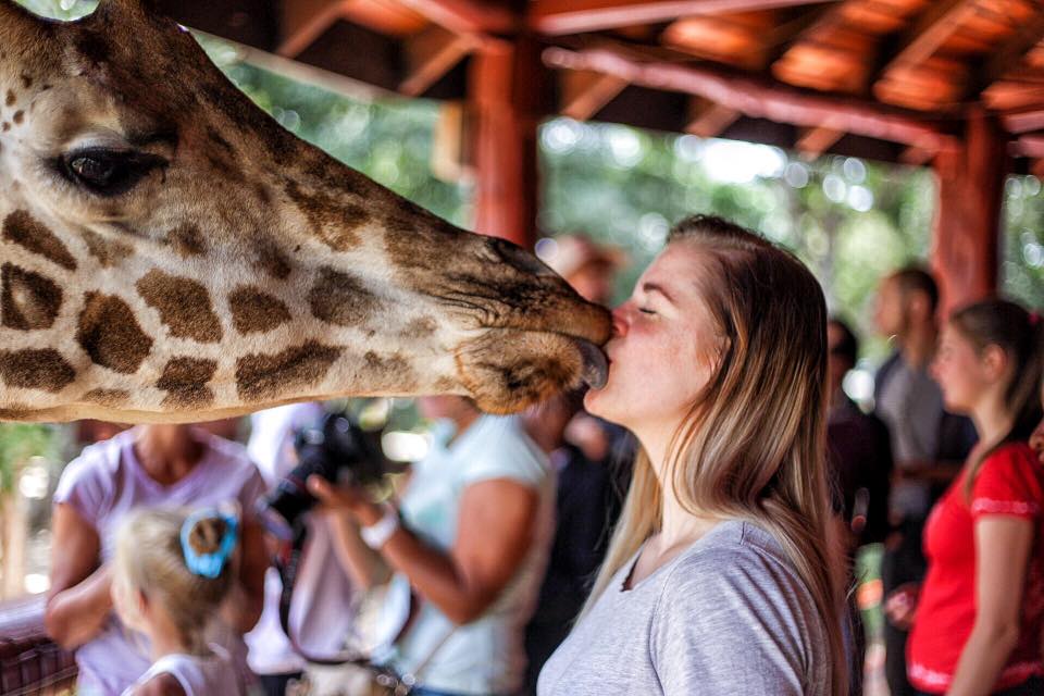 13769582_10157237773550008_8918600722519960931_n