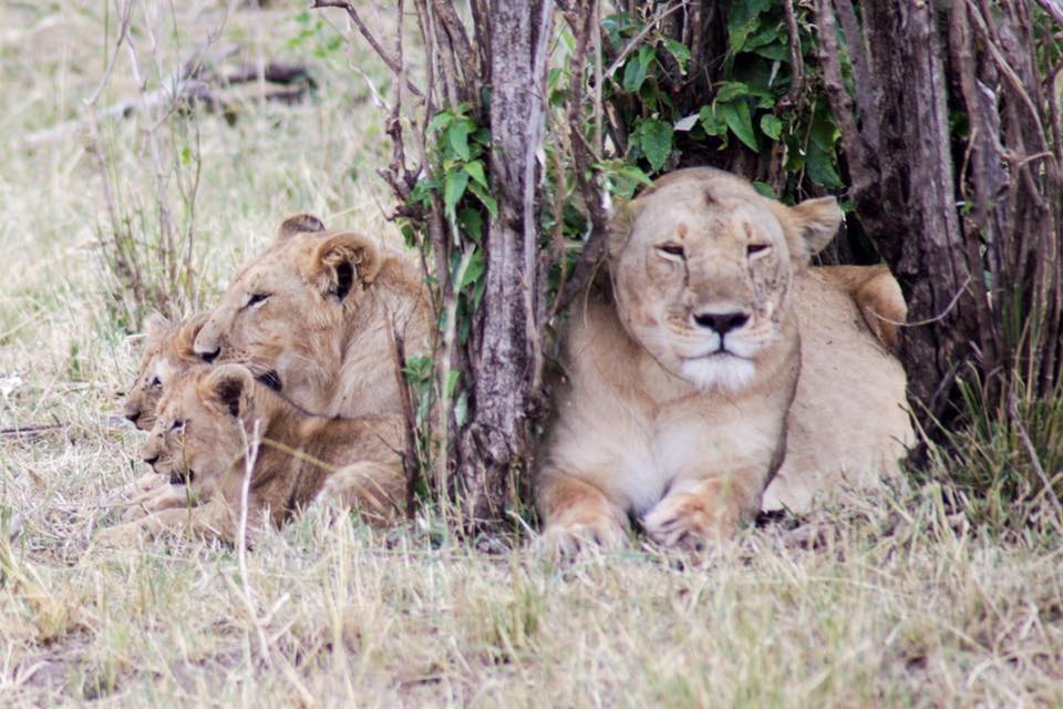 13920633_10157281974255008_7678697709517857837_n