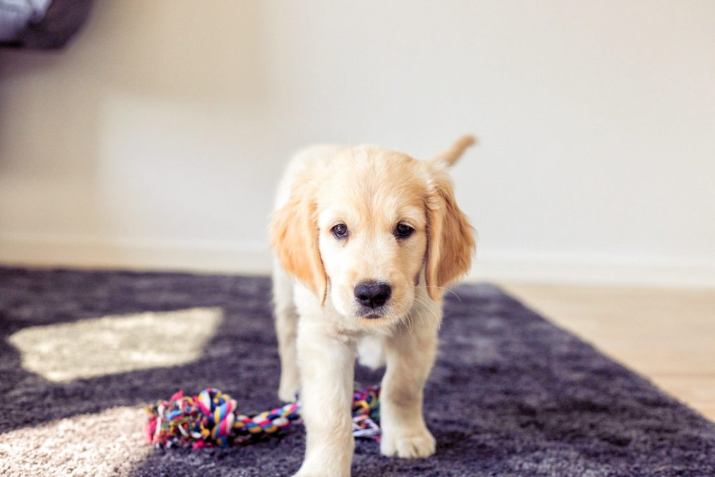 Processed with Snapseed.